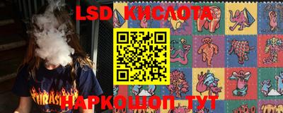 шишки Белореченск