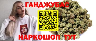 Альфа ПВП Ачхой-Мартан