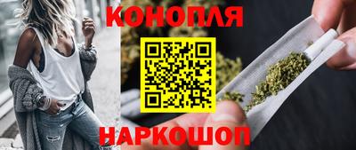 Альфа ПВП Ачхой-Мартан
