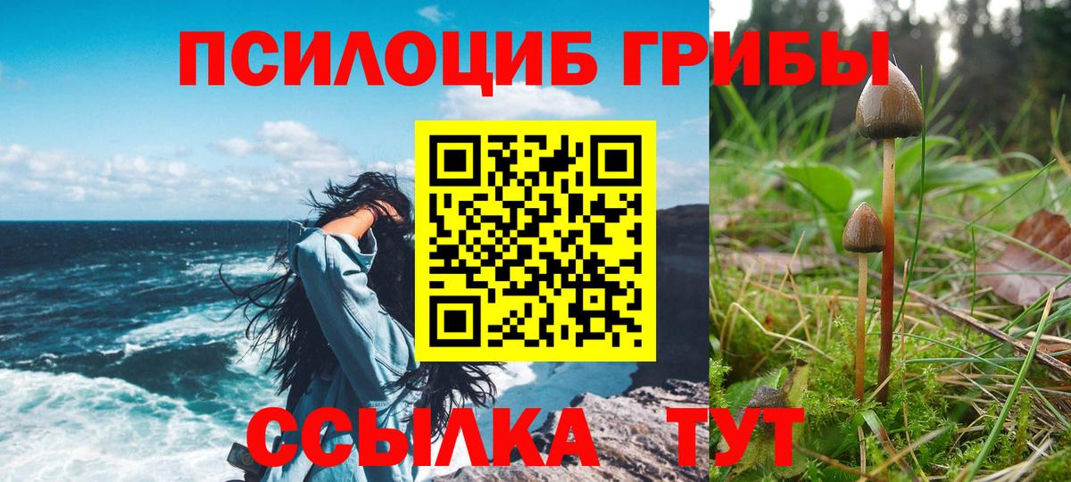 Ипатово  Псилоцибиновые грибы мухоморы  Вход с VPN  Псилоцибиновые грибы ЛСД 